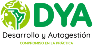 Logo_DYA-WEB-2